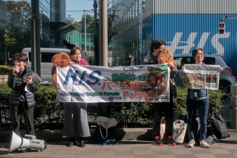 Japan’s palm oil power push is faltering